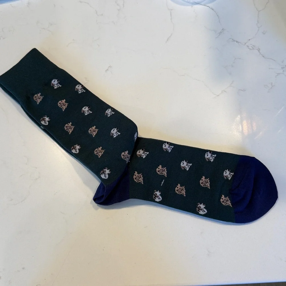 J. Crew Critter Socks for Men
